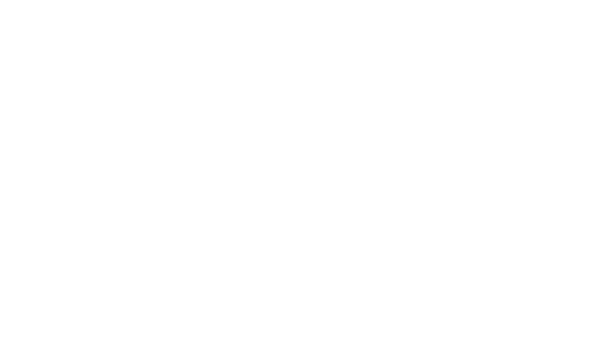 NZ’COMPANY – Performance, mécanique & vitrage automobile