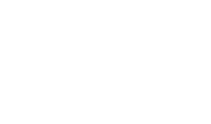 NZ’COMPANY – Performance, mécanique & vitrage automobile