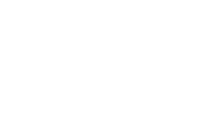 NZ’COMPANY – Performance, mécanique & vitrage automobile