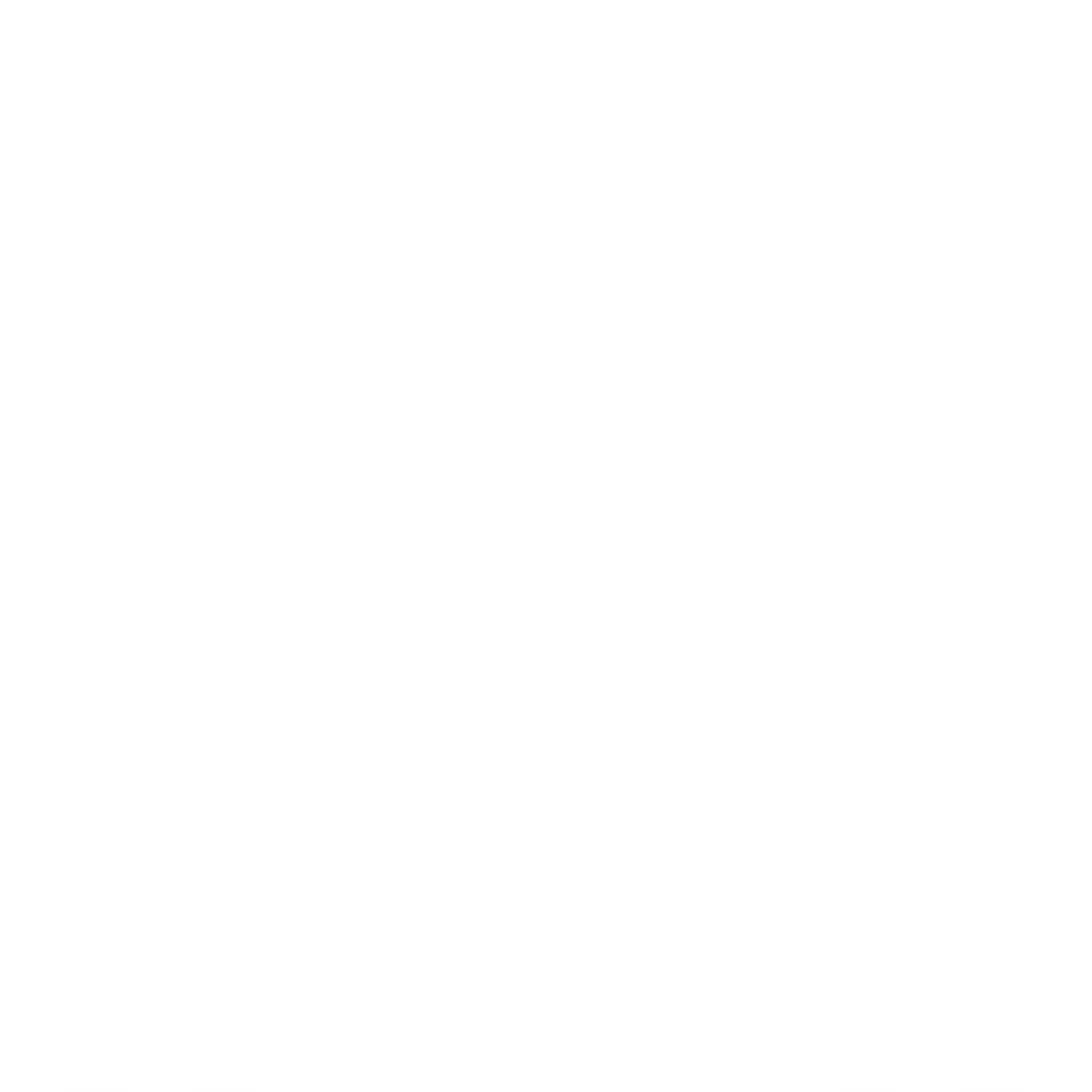 NZ’COMPANY – Performance, mécanique & vitrage automobile